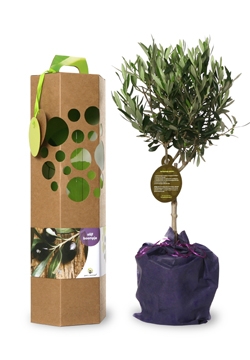 pgimg-2---bewerkt_20200703135612