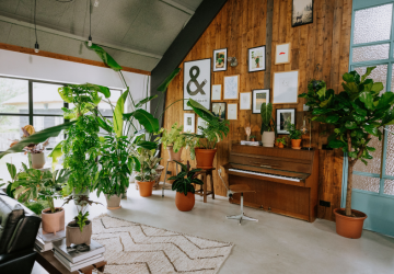 PLNTS - 5_20241126161156450