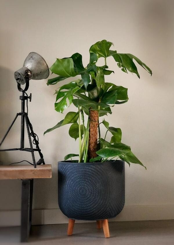 Bloempot op poten (150 x 212 px) (600 x 848 px)_20220314095927980