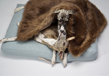 afbeelding-1-webshop-giftcard_20181119093001