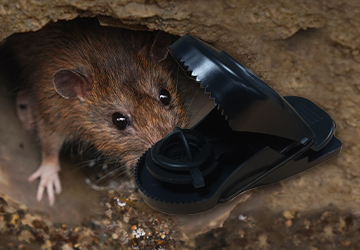 budget~1_20210416114033