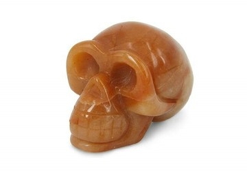 schedel-360x250px_20190424110718