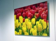 pgimg-3_20160622120517