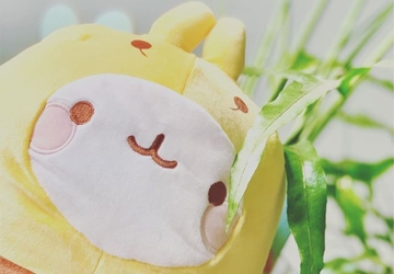 afbeelding2_20200609132656