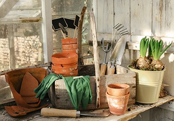 D&K_Lente_187_20240516084607912